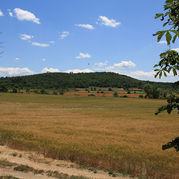 Provence