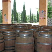 Weinfässer auf Borgo Scopeto