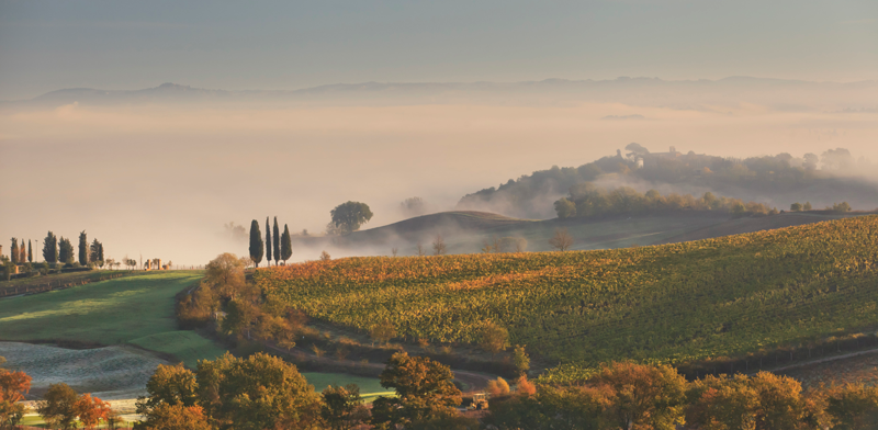 Italienischer Abend bei Wein-Musketier Salach