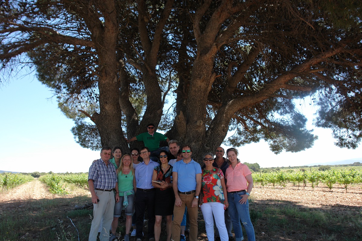 Wein-Musketiere bei Bodegas Sierranorte in Utiel-Requena